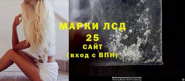 ГАЛЛЮЦИНОГЕННЫЕ ГРИБЫ Вяземский