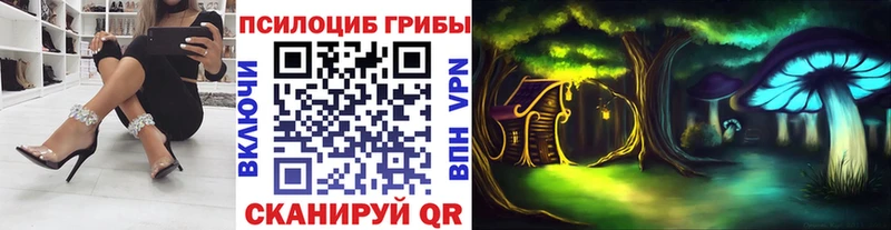 Галлюциногенные грибы ЛСД  хочу наркоту  Александров 